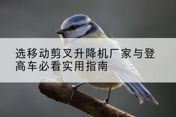 虞城电动升降机厂家-选移动剪叉升降机厂家与登高车必看实用指南
