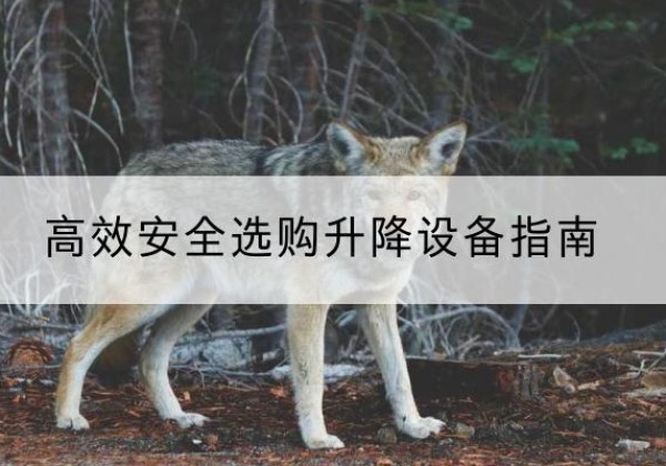 虞城升降货梯厂家推荐-*安全选购升降设备指南