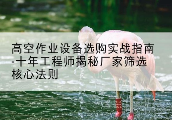 虞城剪叉式升降机厂家-高空作业设备选购实战指南-十年工程师揭秘厂家筛选核心法则