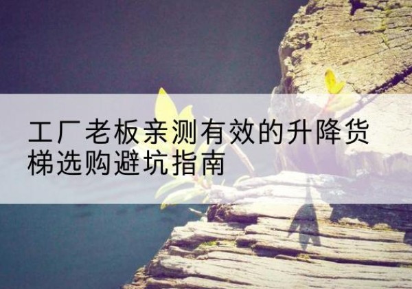 虞城升降货梯怎么选-工厂老板亲测有效的升降货梯选购避坑指南